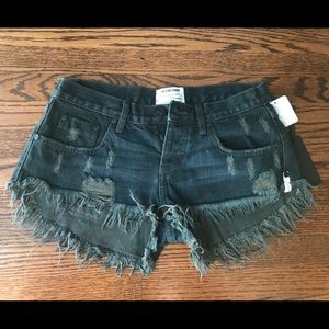 One X Oneteaspoon/ Free People- NWT/size 27 shorts